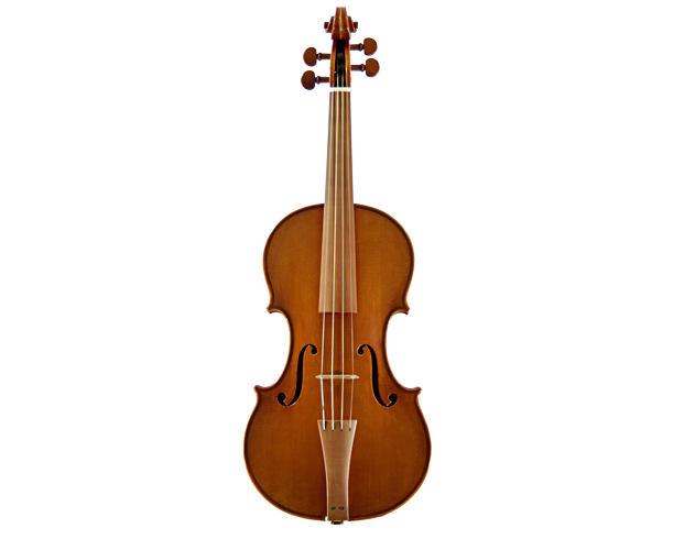 Geige von Wolfgang Schiele